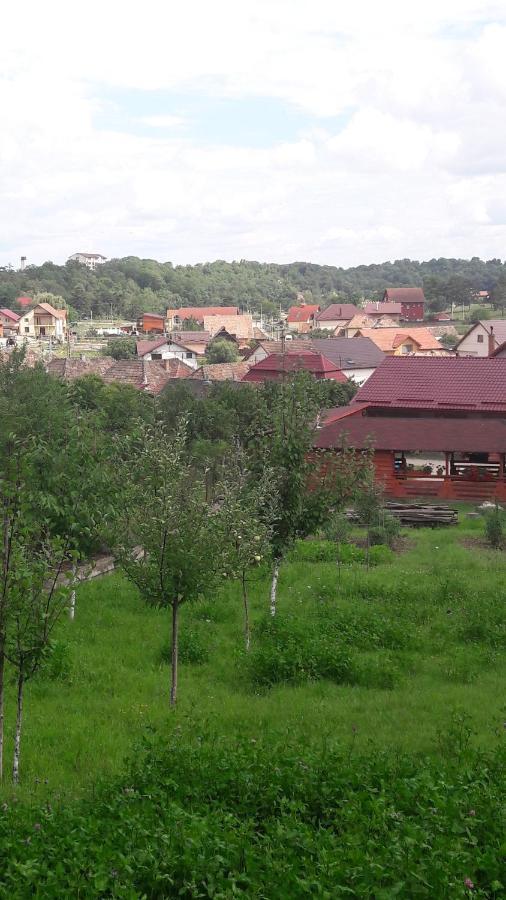 Casa AnaMaria Villa Turda Bagian luar foto