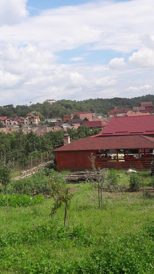 Casa AnaMaria Villa Turda Bagian luar foto